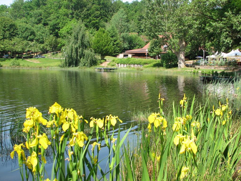 Vvf Les Vosges Bitche Hotel Eksteriør billede